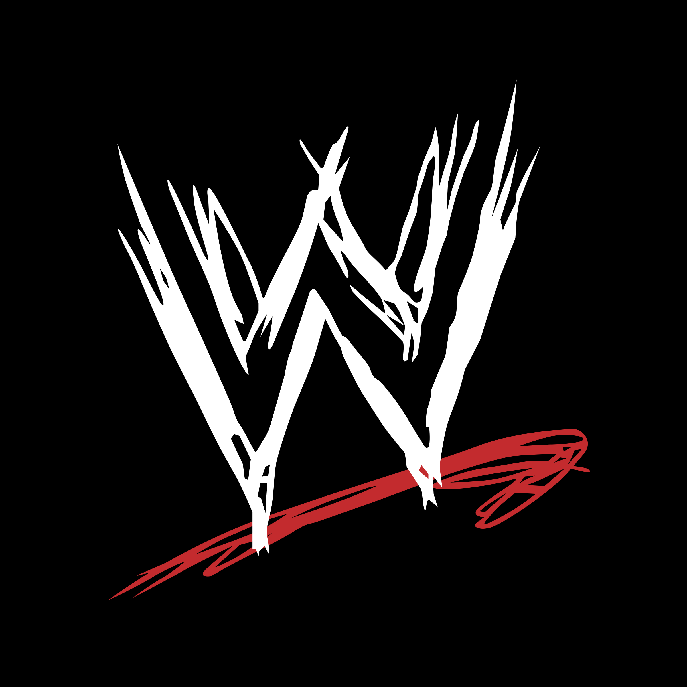 WWE NETWORK🥊